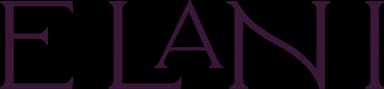 Elani Artistry, luxury Dubai makeup artist and hair stylist